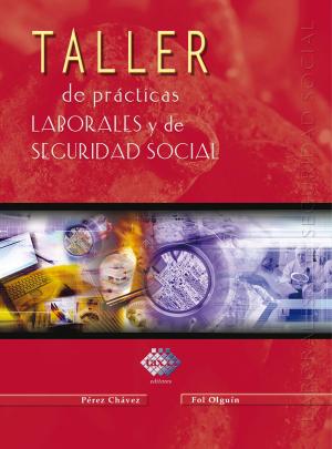 Cover of the book Taller de prácticas laborales y de seguridad social 2017 by Carlos Javier Verduzco Reina, Juan Rabindrana Cisneros García