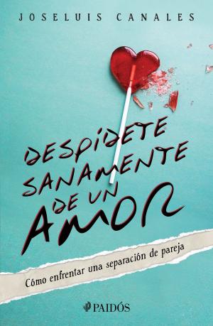 Book cover of Despídete sanamente de un amor