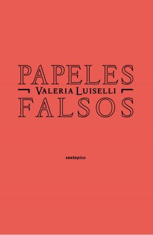 Cover of the book Papeles falsos by Nell  Leyshon