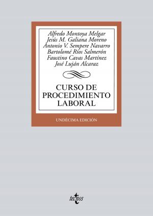 Book cover of Curso de procedimiento laboral