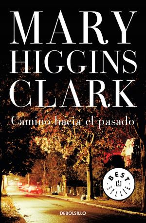 Cover of the book Camino hacia el pasado by Clemente Garcia Novella