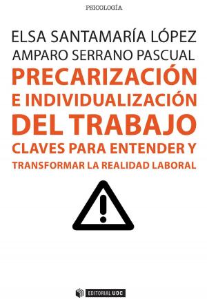 Book cover of Precarización e individualización del trabajo