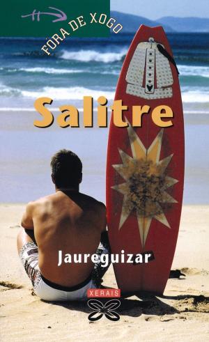 Cover of the book Salitre by Manuel Rivas