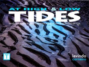 Cover of At High and Low Tides