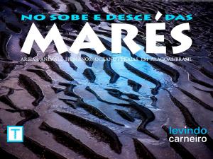Book cover of No Sobe e Desce das Marés