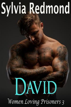 Cover of the book David by Sylvia Redmond