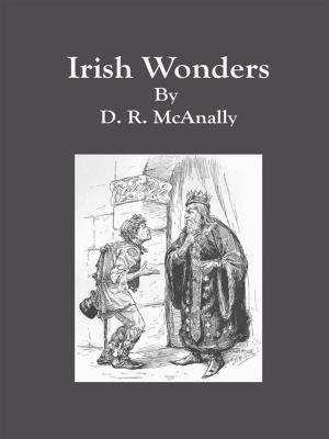 Book cover of Irish Wonders
