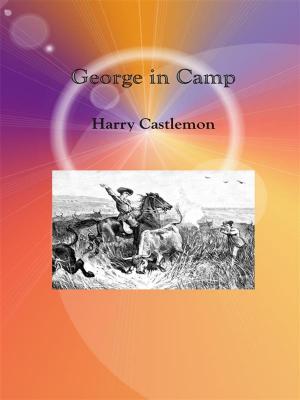 Book cover of George in Camp