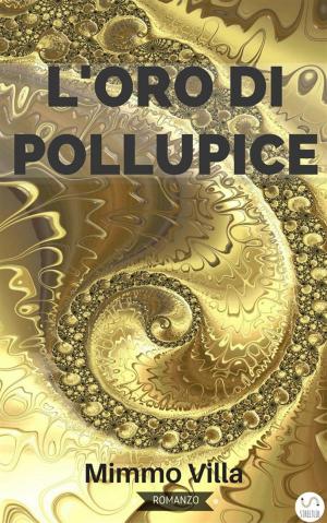 Book cover of L'oro di Pollupice