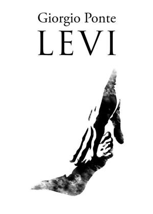 Cover of LEVI. Sotto il Cielo della Palestina: 1