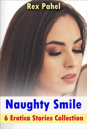Cover of the book Naughty Smile: 6 Erotica Stories Collection by Frank Zenau
