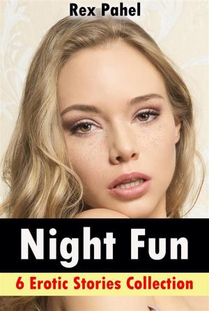 Cover of the book Night Fun: 6 Erotic Stories Collection by Rex Pahel