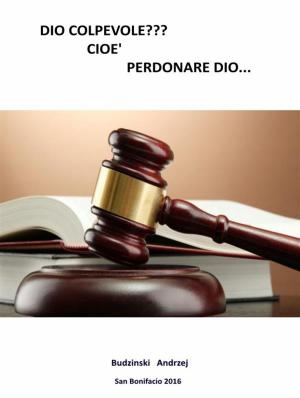 Cover of the book Dio colpevole? cioè Perdonare Dio... by Stefan Antony Salinas