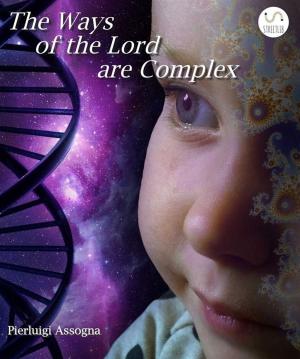 Cover of the book The Ways of the Lord are Complex by Arlene Braswell