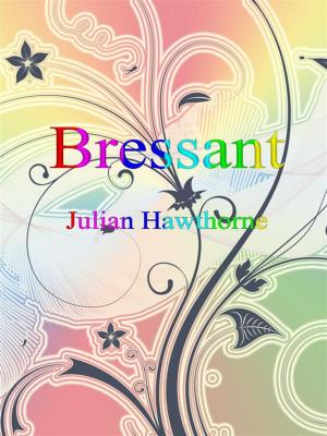 Cover of the book Bressant by Kristen Casey