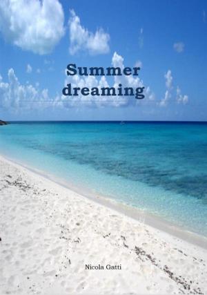 Cover of the book Summer dreaming in Menorca by Daniel Hue Freeman