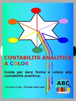 Book cover of Contabilità analitica a colori
