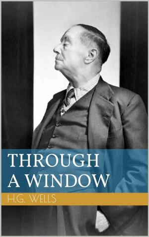 Cover of the book Through a Window by Wolfgang Borchert