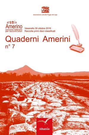 Cover of the book Quaderni Amerini n°7 by Silvia de Iudicibus
