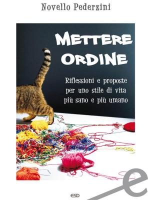 Cover of the book Mettere ordine by Puneet Mathur