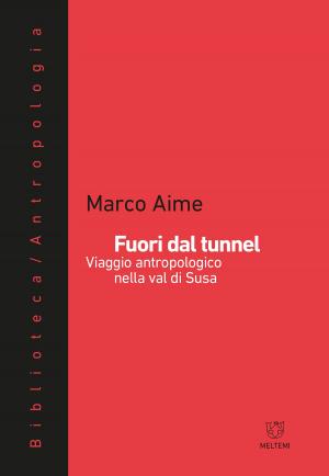 Cover of the book Fuori dal tunnel by Matteo Meschiari