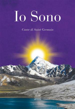 Cover of the book Io Sono by Brian Heron