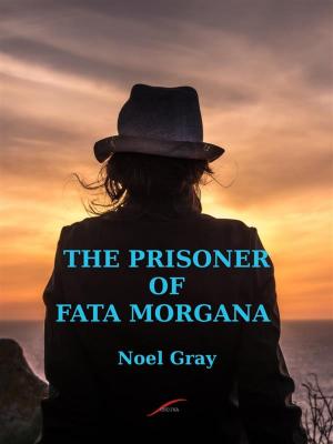 Book cover of The Prisoner of Fata Morgana