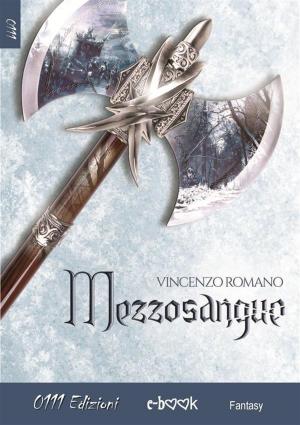 Cover of the book Mezzosangue by Carmelo Massimo Tidona
