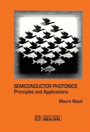 Cover of Semiconductor photonics. Principles and Applications