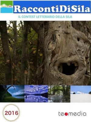 Cover of the book RaccontiDiSila2016 by Francesco Caravetta