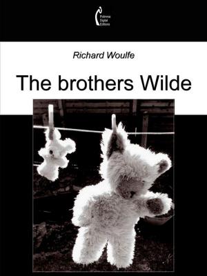 Book cover of The brothers Wilde