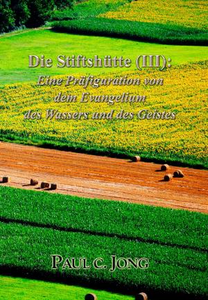 Cover of Die Stiftshütte (III): Eine Präfiguration von dem Evangelium des Wassers und des Geistes