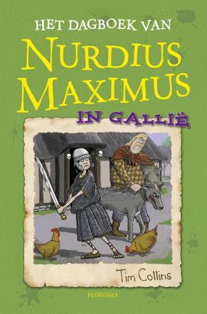 Book cover of Het dagboek van Nurdius Maximus in Gallië