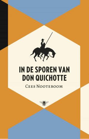 Cover of the book In de sporen van Don Quichotte by Bettine Vriesekoop
