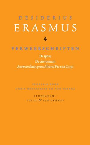Cover of the book Verweerschriften by Atte Jongstra
