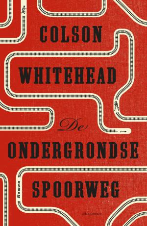 Cover of the book De ondergrondse spoorweg by Pieter Steinz, Bertram Mourits
