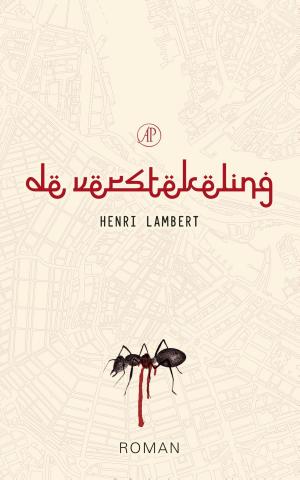 Cover of the book De verstekeling by Henning Mankell