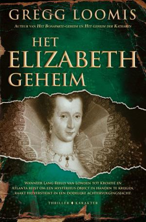 Book cover of Het Elizabeth-geheim