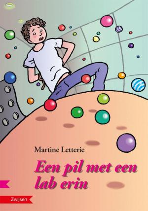 Cover of the book Een pil met een lab erin by Robert Hollmann