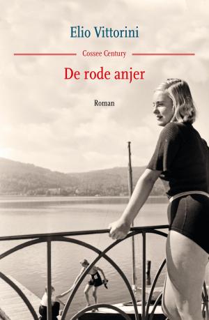 Cover of the book De rode anjer by Bregje Hofstede