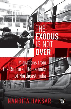 Cover of The Exodus is Not Over