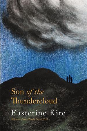 Cover of the book Son of the Thundercloud by 