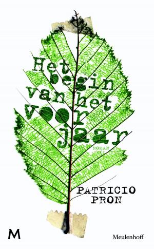 Cover of the book Het begin van het voorjaar by Lisette Thooft