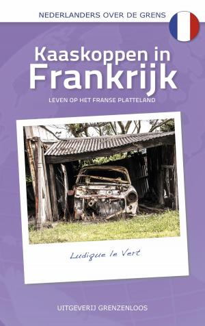 Cover of the book Kaaskoppen in Frankrijk by Richard Bintanja