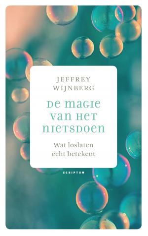 Cover of the book De magie van het nietsdoen by Toma Sedlacek