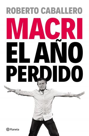 Cover of the book Macri, el año perdido by Megan Maxwell