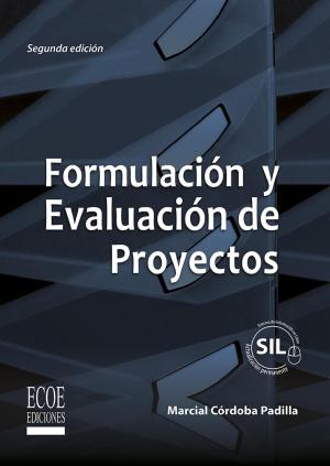 Cover of the book Formulación y evaluación de proyectos by Rodrigo Estupiñán