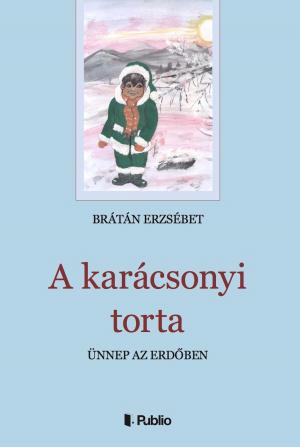 Cover of the book A karácsonyi torta by Ike Matthews