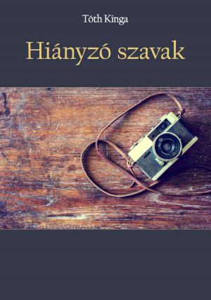 Cover of the book Hiányzó szavak by Brátán Erzsébet