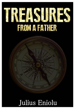 bigCover of the book Treasures from a Father by 